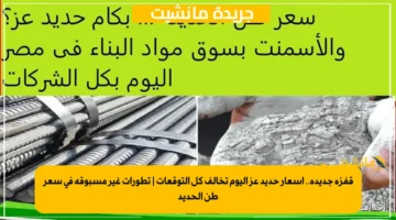 قفزة جديدة.. أسعار حديد عز اليوم تخالف كل التوقعات تطورات غير مسبوقة في سعر طن الحديد 2